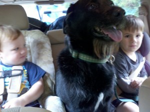 CarTrip Family car trip