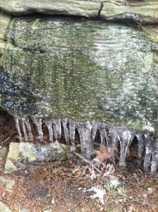 IceFlow icicles