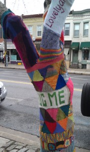 ThneedTree A thneed tree grows in Baltimore.