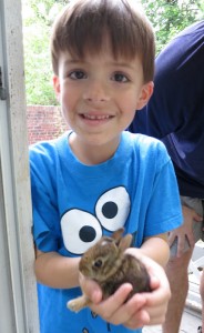 MileswBunny Miles holding a baby bunny