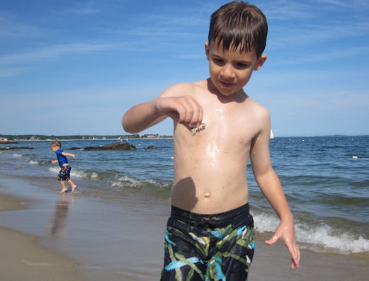 MileswithCrab Miles holding a sand crab, July 2012