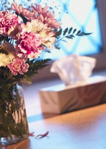 FlowersandTissues Flowers and tissues