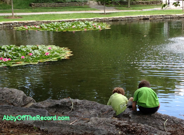 DayattheDuckPond Just a relaxing day at the duck pond