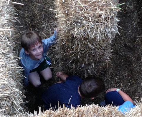 3 boys in hay maze