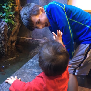 The Baby Whisperer