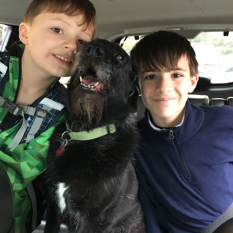 2 boys and our dog in the backseat at school pickup